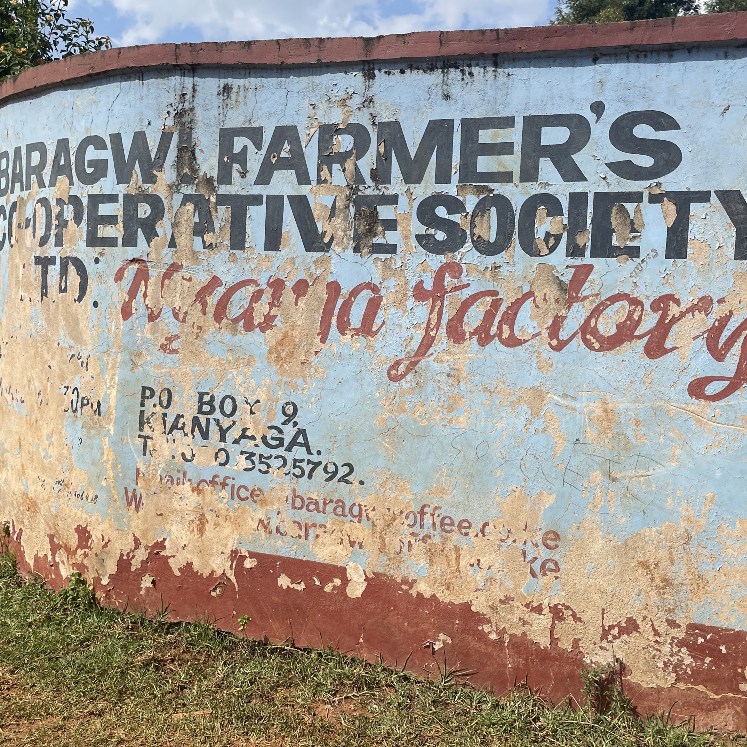 Kenya Nyanja Washed(25/26年クロップ) | ORIGIN COUNTRIES for Small